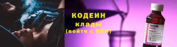 ECSTASY Алзамай