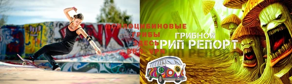 ECSTASY Алзамай